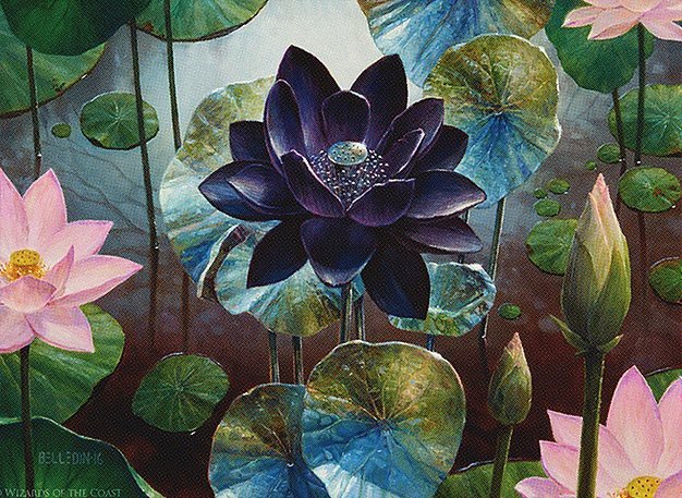 Black Lotus Crop image Wallpaper