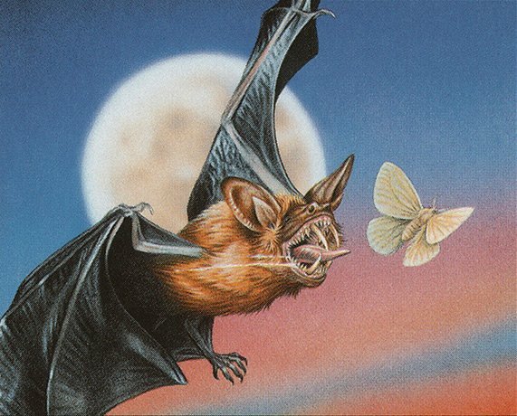 Dakmor Bat Crop image Wallpaper