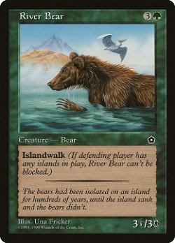 River Bear image