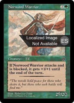 Guerrera de Norwood