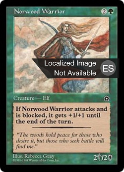 Guerrera de Norwood image