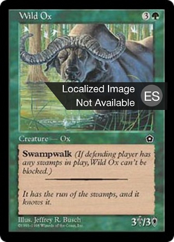 Wild Ox image