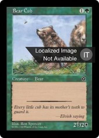 Bear Cub Full hd image