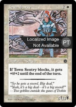 Town Sentry image