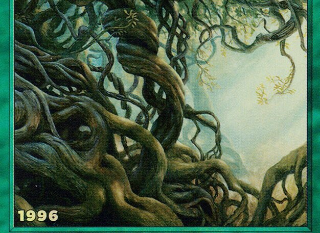 Wall of Roots Crop image Wallpaper