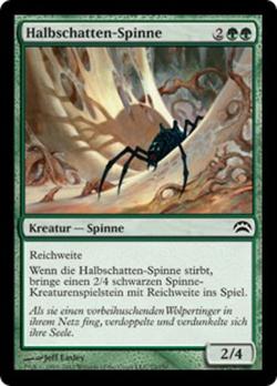 Halbschatten-Spinne