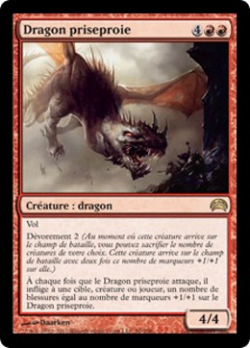 Dragon priseproie image