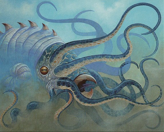 Gulf Squid Crop image Wallpaper