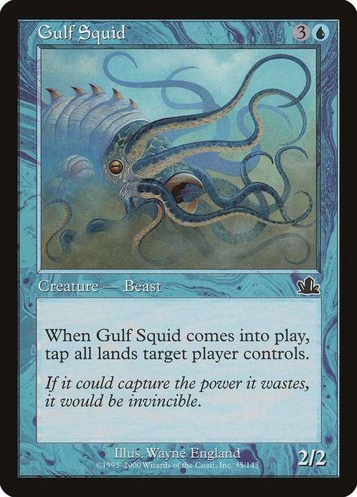 Gulf Squid Full hd image