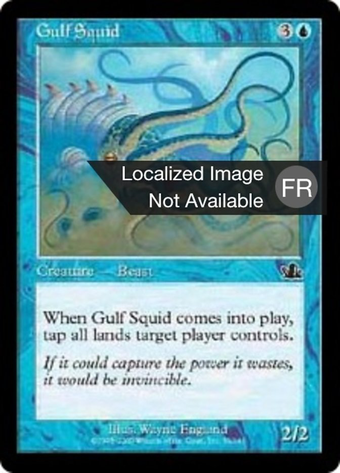 Gulf Squid Full hd image