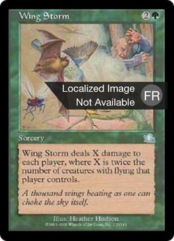 Wing Storm image