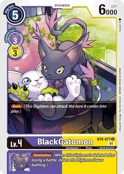 BlackGatomon BT8-077 Crop image Wallpaper