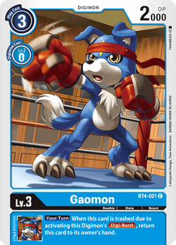 Gaomon BT4-021 image