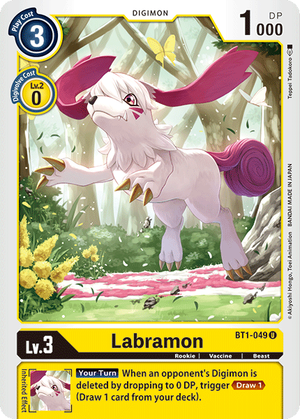 Labramon BT1-049 Full hd image