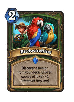Birdwatching image