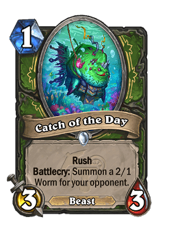 Catch of the Day image