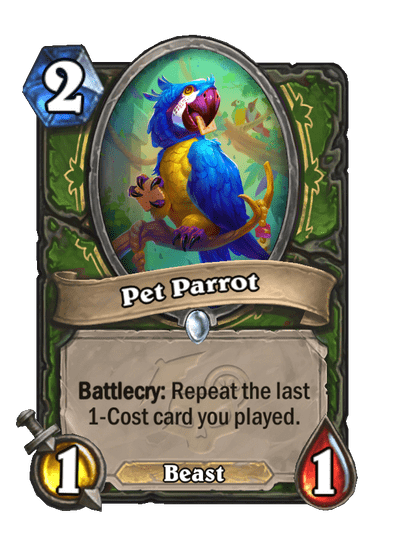 Pet Parrot Full hd image