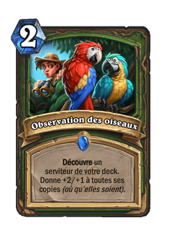 Observation des oiseaux