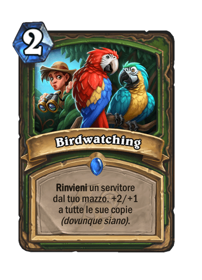 Birdwatching Full hd image