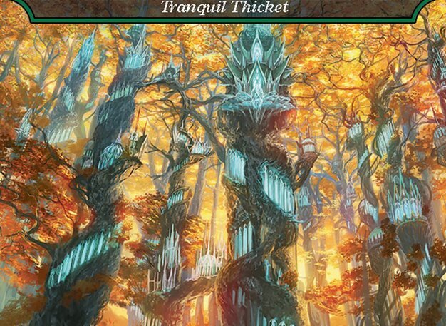Tranquil Thicket Crop image Wallpaper