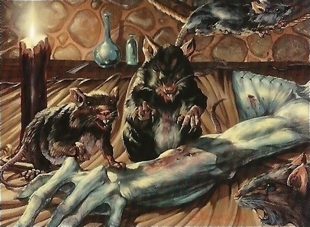 Carrion Rats Crop image Wallpaper