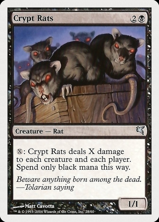 Rats des cryptes image