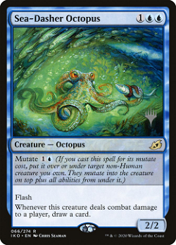 Meeresflitzer-Oktopus