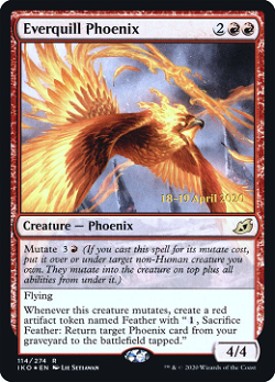 Immerfeder-Phoenix