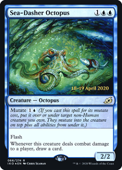 Meeresflitzer-Oktopus