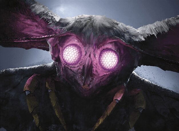 The Wise Mothman Crop image Wallpaper