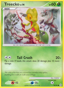 Treecko AR 78