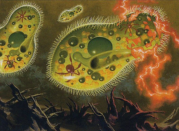 Chronozoa Crop image Wallpaper