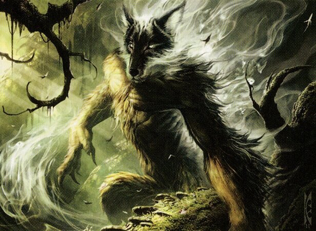 Wolfir Silverheart Crop image Wallpaper