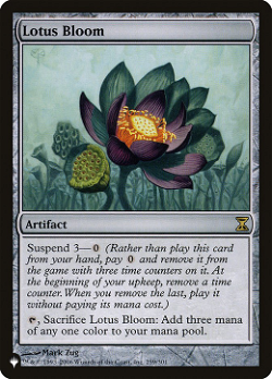Lotus-Blütezeit