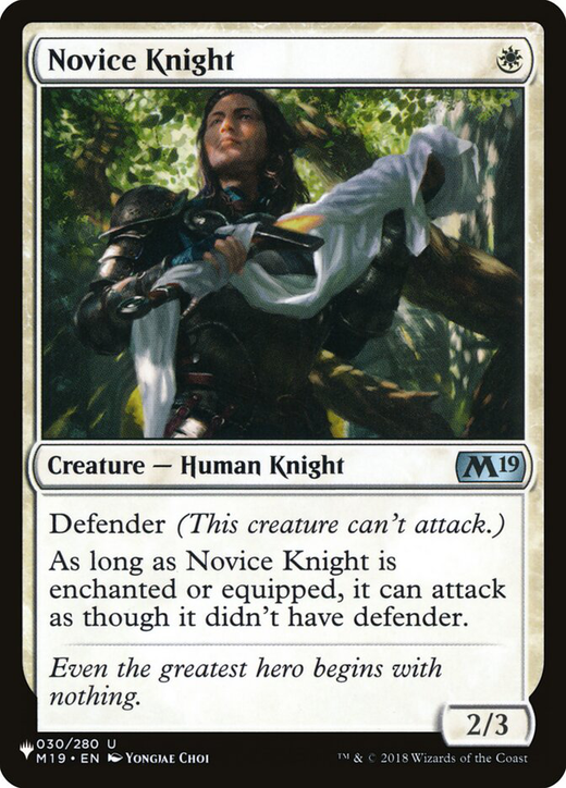 Novice Knight Full hd image