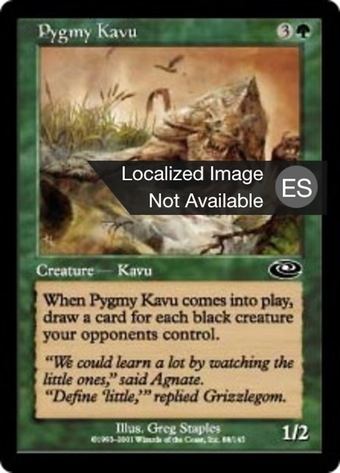 Pygmy Kavu Full hd image