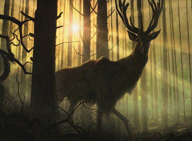 Dawntreader Elk Crop image Wallpaper