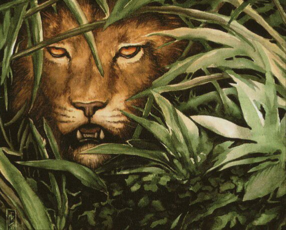 Jungle Lion Crop image Wallpaper