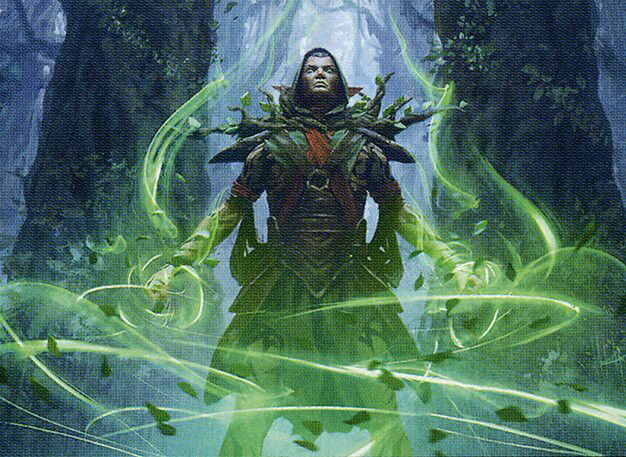 Llanowar Visionary Crop image Wallpaper