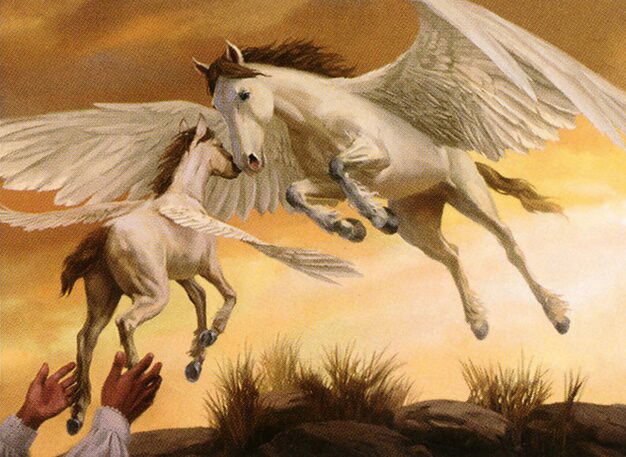 Pegasus Guardian // Rescue the Foal Crop image Wallpaper