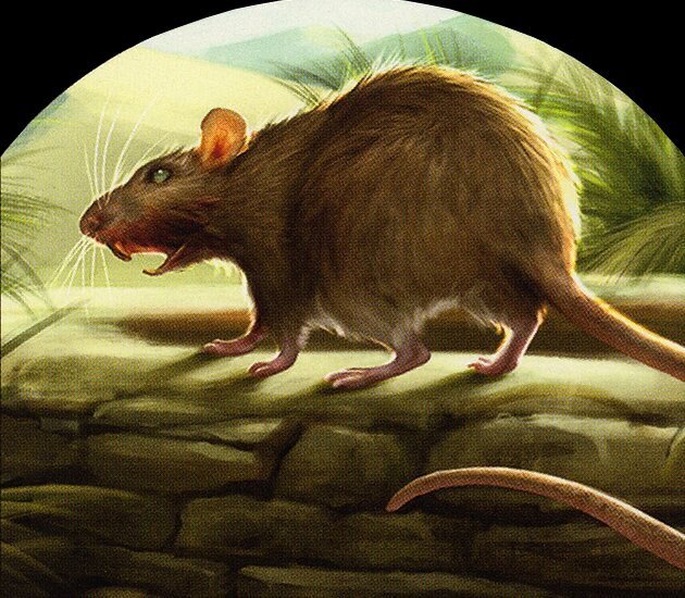 Rat Token Crop image Wallpaper