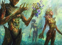 Deck representation