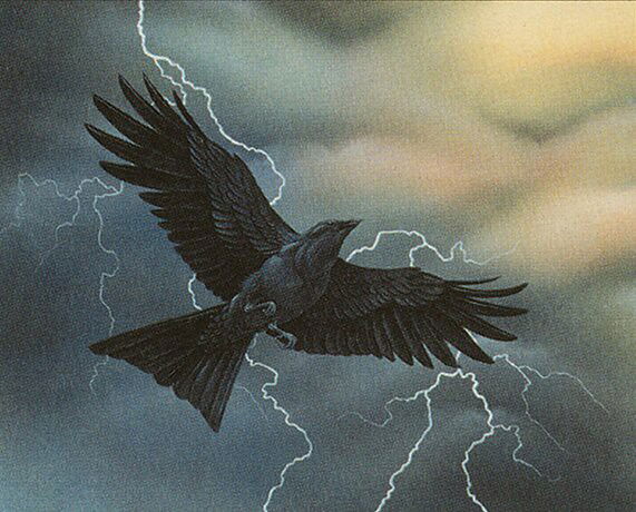 Storm Crow Crop image Wallpaper