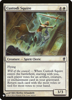 Custodi Squire image