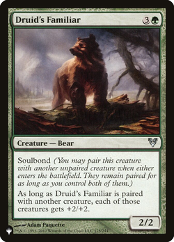 Druid's Familiar image