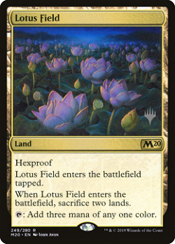 Lotus Field image