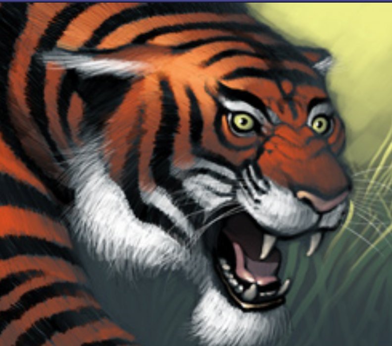 Stalking Tiger Avatar Crop image Wallpaper