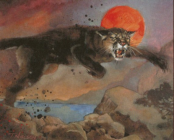 Raging Cougar Crop image Wallpaper