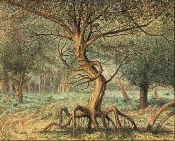 Rowan Treefolk Crop image Wallpaper
