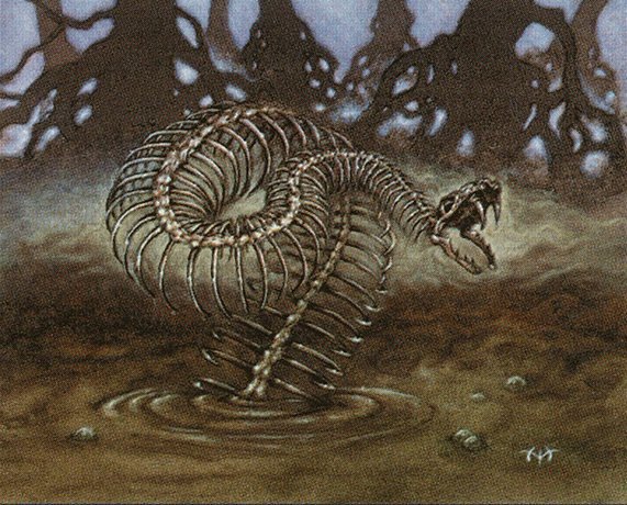 Skeletal Snake Crop image Wallpaper
